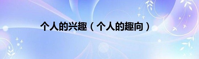 个人的兴趣（个人的趣向）