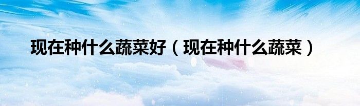 现在种什么蔬菜好（现在种什么蔬菜）
