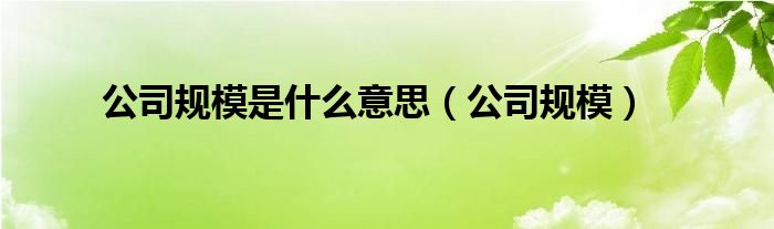 公司运营规模怎么介绍