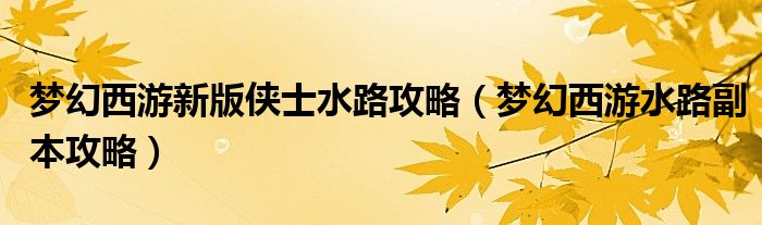 梦幻西游新版侠士水路攻略（梦幻西游水路副本攻略）