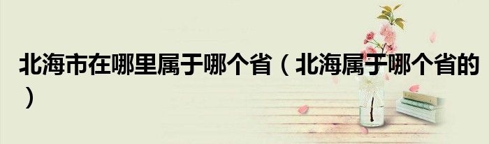 北海市在哪里属于哪个省（北海属于哪个省的）