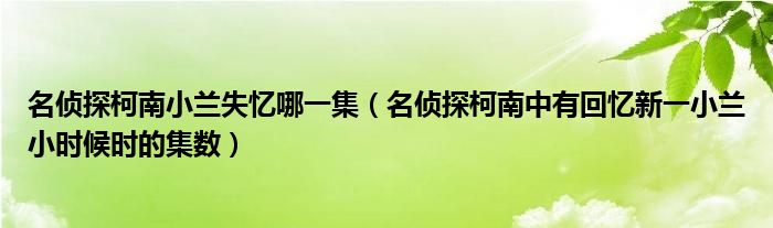 名侦探柯南小兰失忆哪一集（名侦探柯南中有回忆新一小兰小时候时的集数）