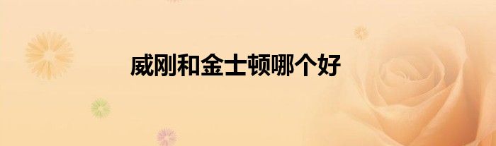 威刚和金士顿哪个好