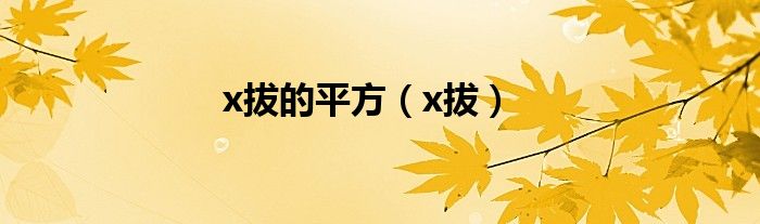x拔的平方（x拔）