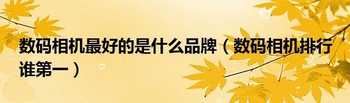 数码相机最好的是什么品牌（数码相机排行 谁第一）