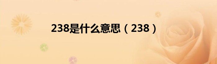 238是什么意思（238）
