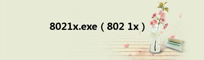 8021x.exe（802 1x）