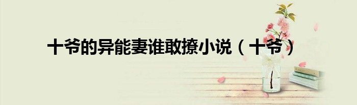 十爷的异能妻谁敢撩小说（十爷）