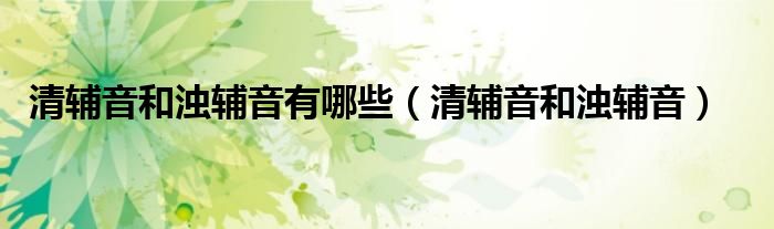 清辅音和浊辅音有哪些（清辅音和浊辅音）