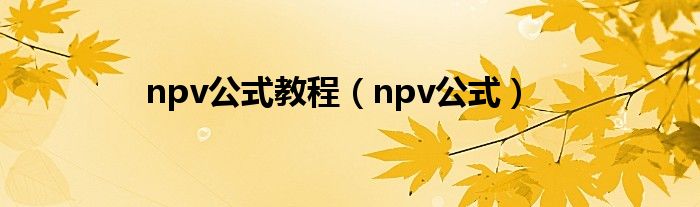 npv公式教程（npv公式）
