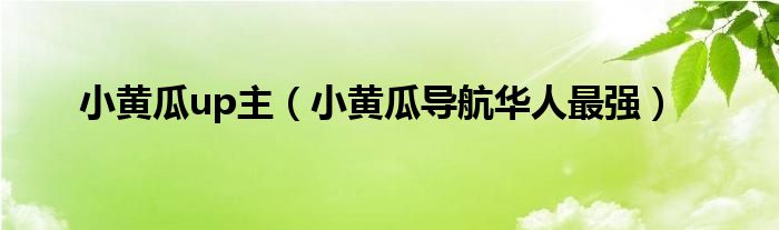 小黄瓜up主（小黄瓜导航华人最强）