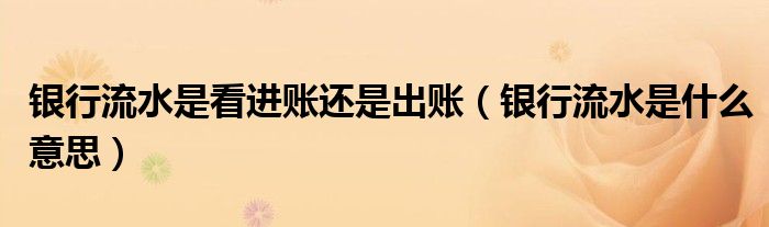 银行流水是看进账还是出账（银行流水是什么意思）