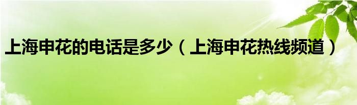 上海申花的电话是多少（上海申花热线频道）