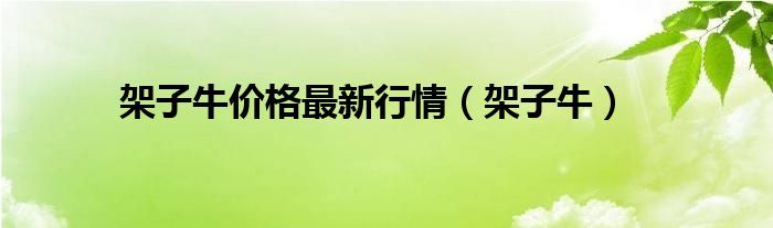 架子牛价格最新行情（架子牛）