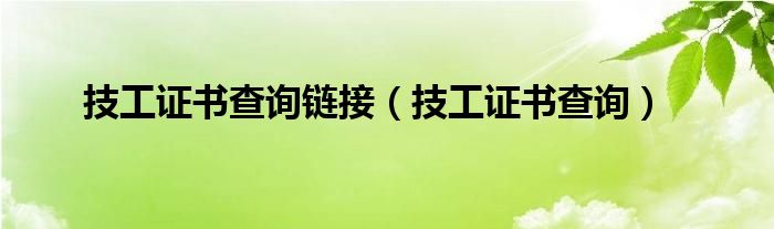 技工证书查询链接（技工证书查询）