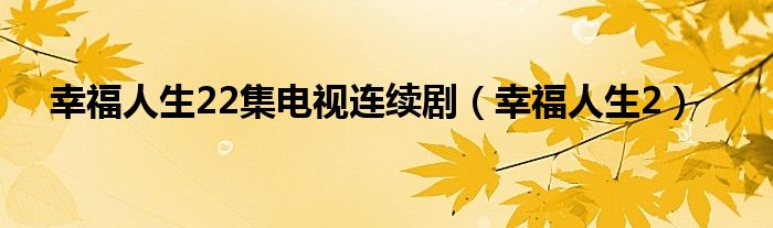 幸福人生22集电视连续剧（幸福人生2）