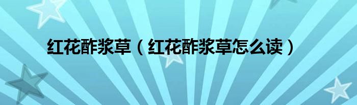 红花酢浆草（红花酢浆草怎么读）
