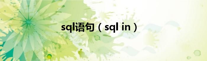 sql语句（sql in）