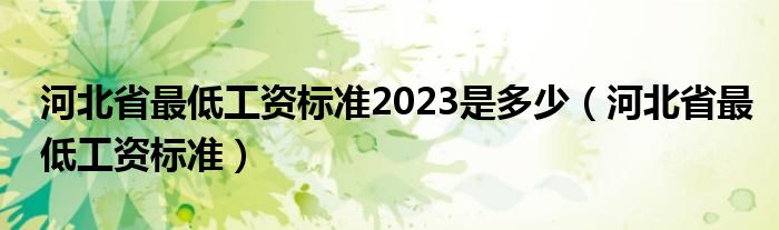 河北省最低工资标准2023是多少（河北省最低工资标准）