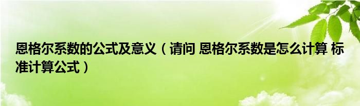 恩格尔系数的公式及意义（请问 恩格尔系数是怎么计算 标准计算公式）