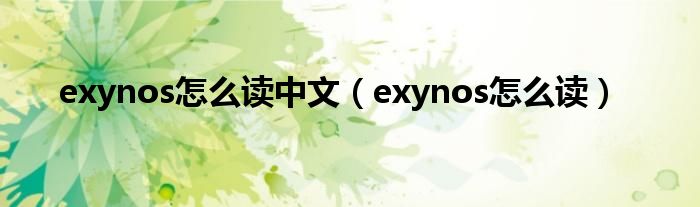 exynos怎么读中文（exynos怎么读）