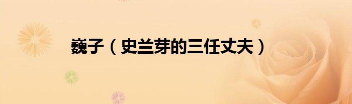 巍子（史兰芽的三任丈夫）