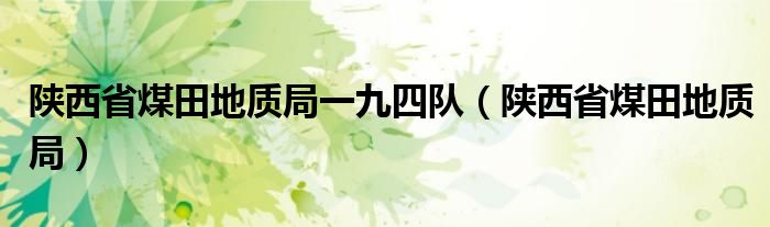 陕西省煤田地质局一九四队（陕西省煤田地质局）