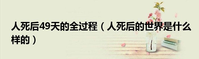人死后49天的全过程（人死后的世界是什么样的）