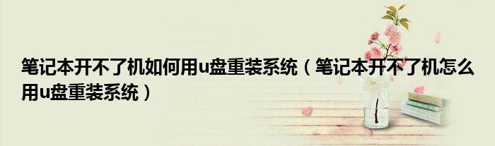 笔记本开不了机如何用u盘重装系统（笔记本开不了机怎么用u盘重装系统）