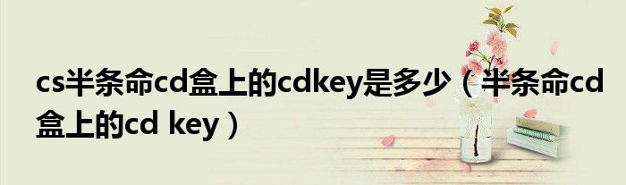 cs半条命cd盒上的cdkey是多少（半条命cd盒上的cd key）
