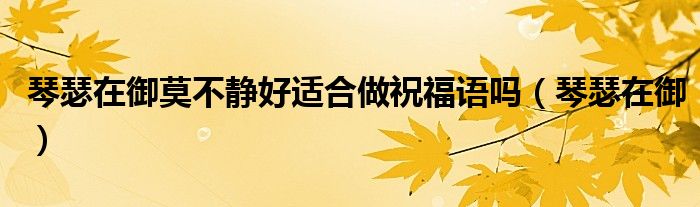 琴瑟在御莫不静好适合做祝福语吗（琴瑟在御）