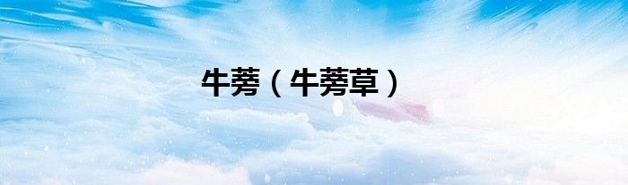 牛蒡（牛蒡草）
