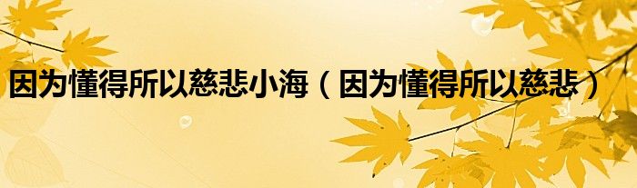 因为懂得所以慈悲小海（因为懂得所以慈悲）