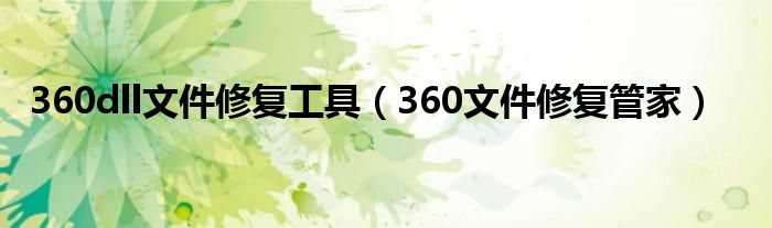 360dll文件修复工具（360文件修复管家）