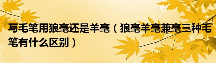 写毛笔用狼毫还是羊毫（狼毫羊毫兼毫三种毛笔有什么区别）