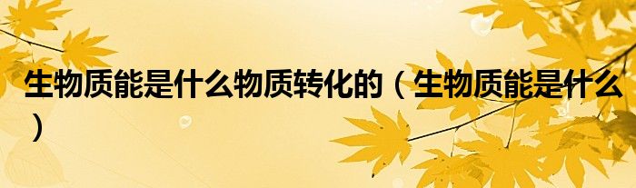 生物质能是什么物质转化的（生物质能是什么）
