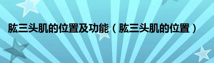 肱三头肌的位置及功能（肱三头肌的位置）