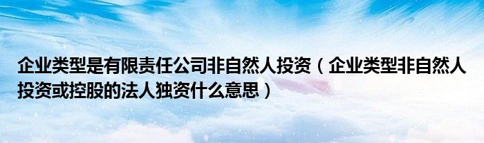 企业类型是有限责任公司非自然人投资（企业类型非自然人投资或控股的法人独资什么意思）