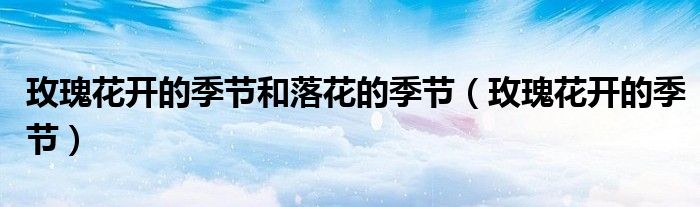 玫瑰花开的季节和落花的季节（玫瑰花开的季节）