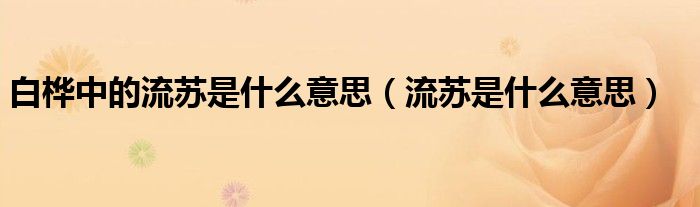 白桦中的流苏是什么意思（流苏是什么意思）