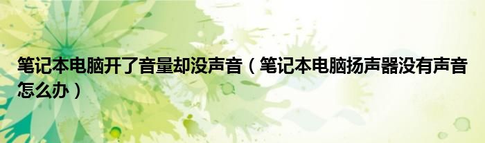 笔记本电脑开了音量却没声音（笔记本电脑扬声器没有声音怎么办）