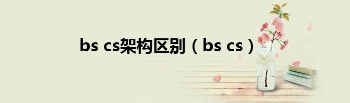 bs cs架构区别（bs cs）