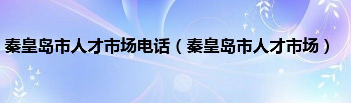 秦皇岛市人才市场电话（秦皇岛市人才市场）