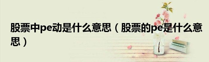 股票中pe动是什么意思（股票的pe是什么意思）