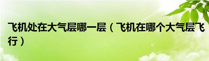 飞机处在大气层哪一层（飞机在哪个大气层飞行）