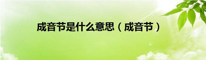 成音节是什么意思（成音节）