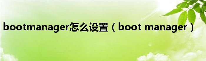 bootmanager怎么设置（boot manager）