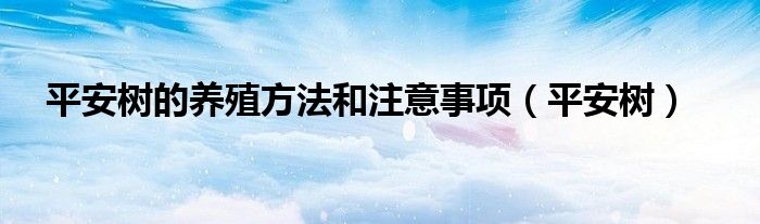 平安树的养殖方法和注意事项（平安树）