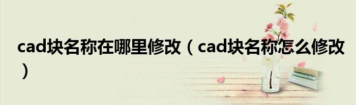 cad块名称在哪里修改（cad块名称怎么修改）