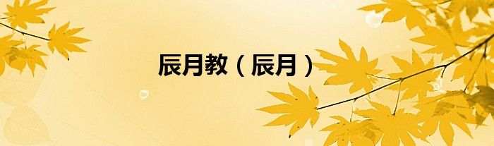 辰月教（辰月）